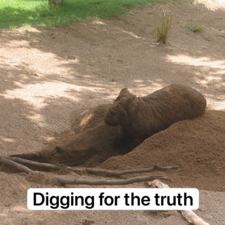 Telegram profile photo for Waking Up Australia