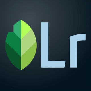 Telegram profile photo for Lightroom and Snapseed presets