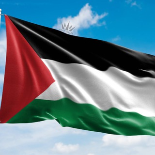 Telegram profile photo for الربح المجاني$