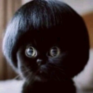 Telegram profile photo for ПУЗАН