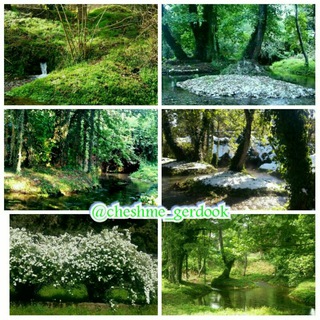 Telegram profile photo for 🌳چشمه گردوک/ سنگتجن🌳