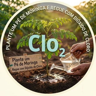 Telegram profile photo for Plante um Pé de Moringa e Regue com Dióxido de Cloro