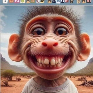 Telegram profile photo for Приколы Телеги