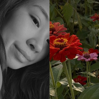 Telegram profile photo for 💓 mobile shooting vs ✨🐣