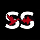 Telegram profile photo for SOPRANO SOUND | Студия Звукозаписи Томск