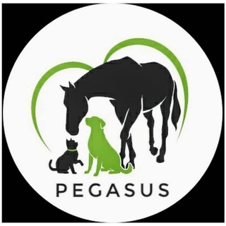Telegram profile photo for Приют Пегас для лошадей и диких животных Днепр