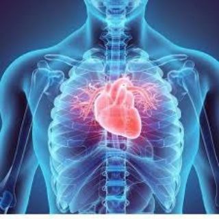 Telegram profile photo for Medical information