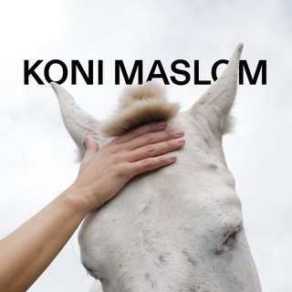 Telegram profile photo for кони маслом