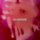 Telegram profile photo for scārddië