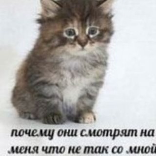 Telegram profile photo for Винор Энгричик.