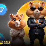 Telegram profile photo for ورم اسلپ | تپ سواپ | همستر | راکی ربیت | کتیزن | ایردراپ | کدمورس | دات کوین | نات کوین فارسی | ادلیست | داگز | نات امپایر | کتز