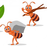 Telegram profile photo for Ant Calls