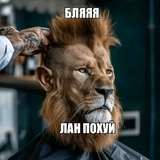 Telegram profile photo for Туторы от Котости