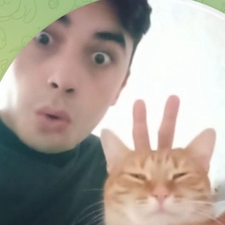 Telegram group profile photo for Сбор Хаякистов