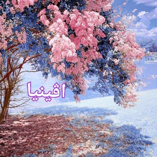 Telegram profile photo for اڤينيا🦋♥
