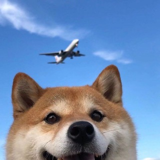 Telegram profile photo for 彼岸花业务通知频道