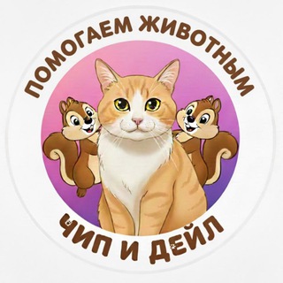 Telegram profile photo for Чип и Дейл спешат на Помощь ❗️