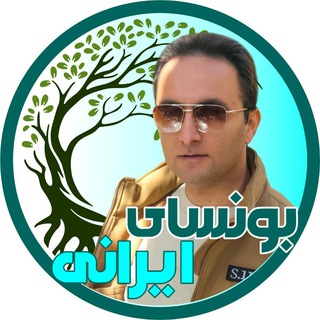 Telegram profile photo for 🌳 کانال تلگرامی بونسای ایرانی 🌷