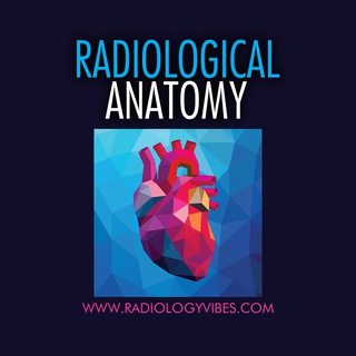 Telegram profile photo for RADIOLOGICAL ANATOMY