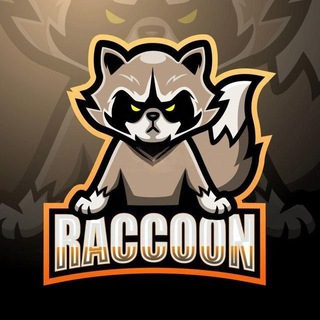 Telegram profile photo for RACCOON 🦝