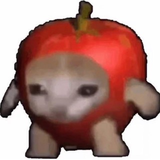 Telegram profile photo for Applecat - $SOL