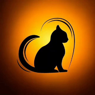 Telegram profile photo for ВЛК ВИК ФИП с ветеринаром-инфекционистом