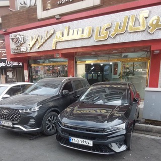 Telegram profile photo for گالری مسلم احمدی( ستارخان )