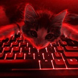 Telegram profile photo for My Bio