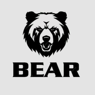Telegram profile photo for The Bear