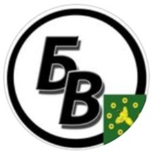 Telegram profile photo for Бикинский вестник