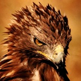 Telegram profile photo for UNDEFEATED