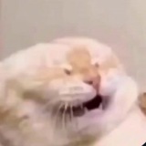 Telegram profile photo for Humanity is Lost