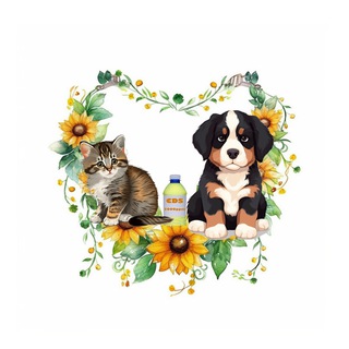 Telegram profile photo for CDS, MMS & Homeopathy For Animals