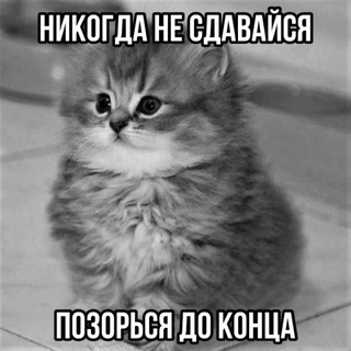 Telegram profile photo for Настасья о прочем