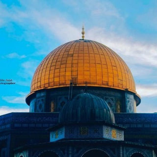 Telegram profile photo for رام الله مباشر الإخباريةRamallah mobasher news