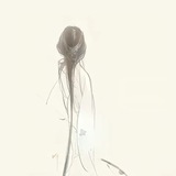 Telegram profile photo for 归零の展示