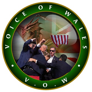 Telegram profile photo for Voice Of Wales Official
