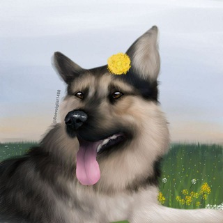 Telegram profile photo for Овчарка Рэм на связи🐾