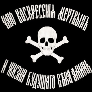 Telegram profile photo for Doctor Lynch