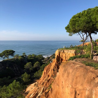 Telegram profile photo for Portugal for life.com