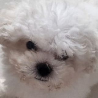 Telegram profile photo for 김그린의 GreenWorld(일기장)