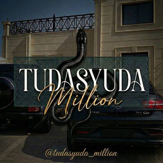 Telegram profile photo for TudaSyudaMillion | Переходник