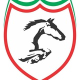 Telegram profile photo for باشگاه سوارکاری جستان