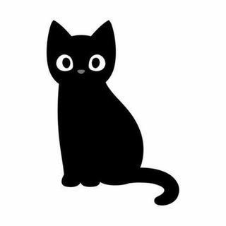 Telegram group profile photo for 【猫七七】机场 | 喵速云