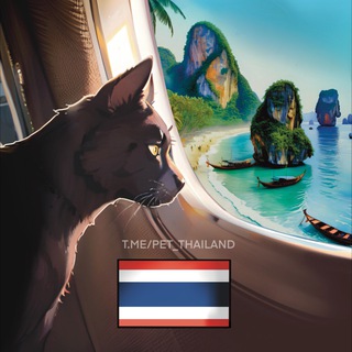 Telegram profile photo for Таиланд с питомцем 🇹🇭🐶