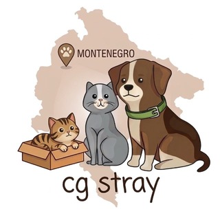 Telegram profile photo for Зооволонтеры Черногории_CG Stray