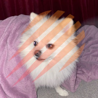 Telegram profile photo for buy bitcoin