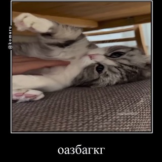 Telegram profile photo for #оазбагкг