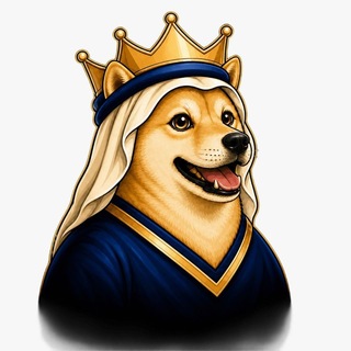 Telegram profile photo for Sheik Doge