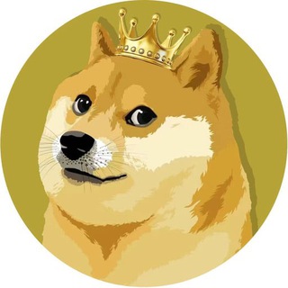 Telegram profile photo for Dogecoin CTO
